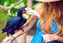 bird on womans arm
