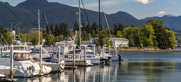 A row of boats sit in a marina